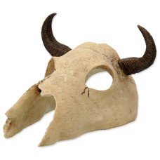 Cráneo de búfalo Repti planet